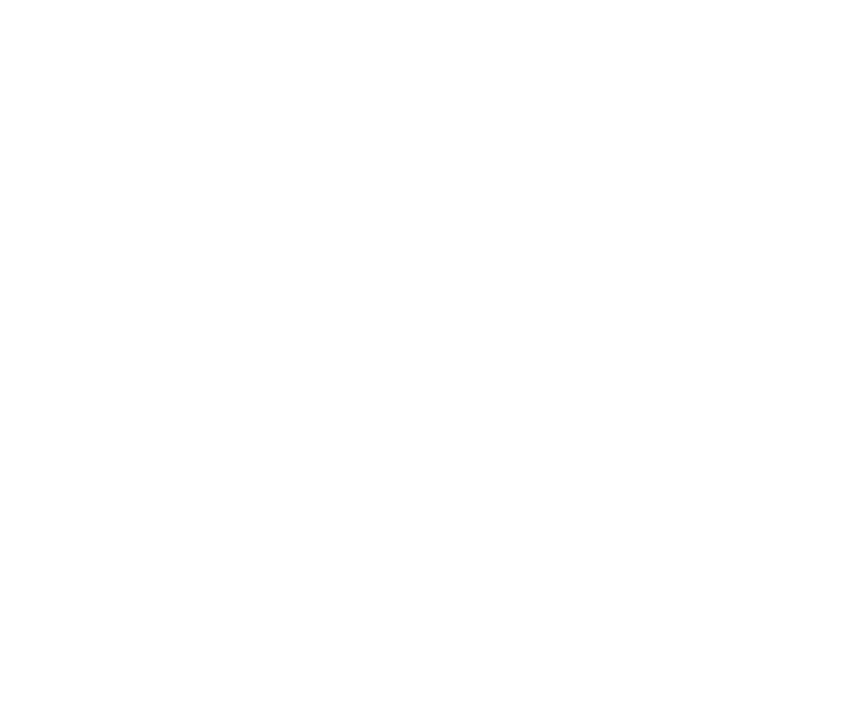 Pioneira Eventos